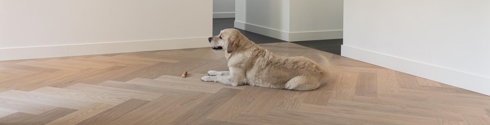 Solidfloor Heat; Waar duurzaamheid en design samenkomen - Harman Vloeren Amsterdam