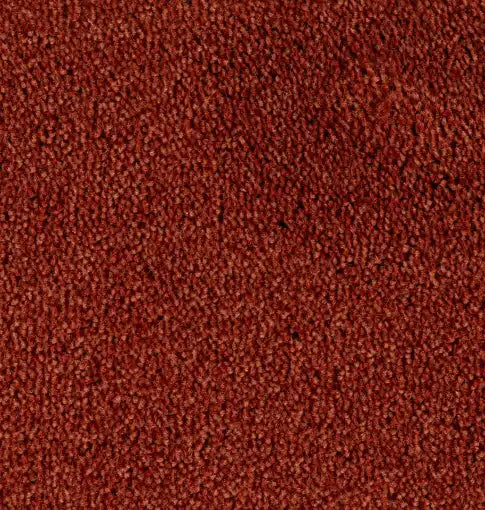 Parade Colour King 111 - Tapijt