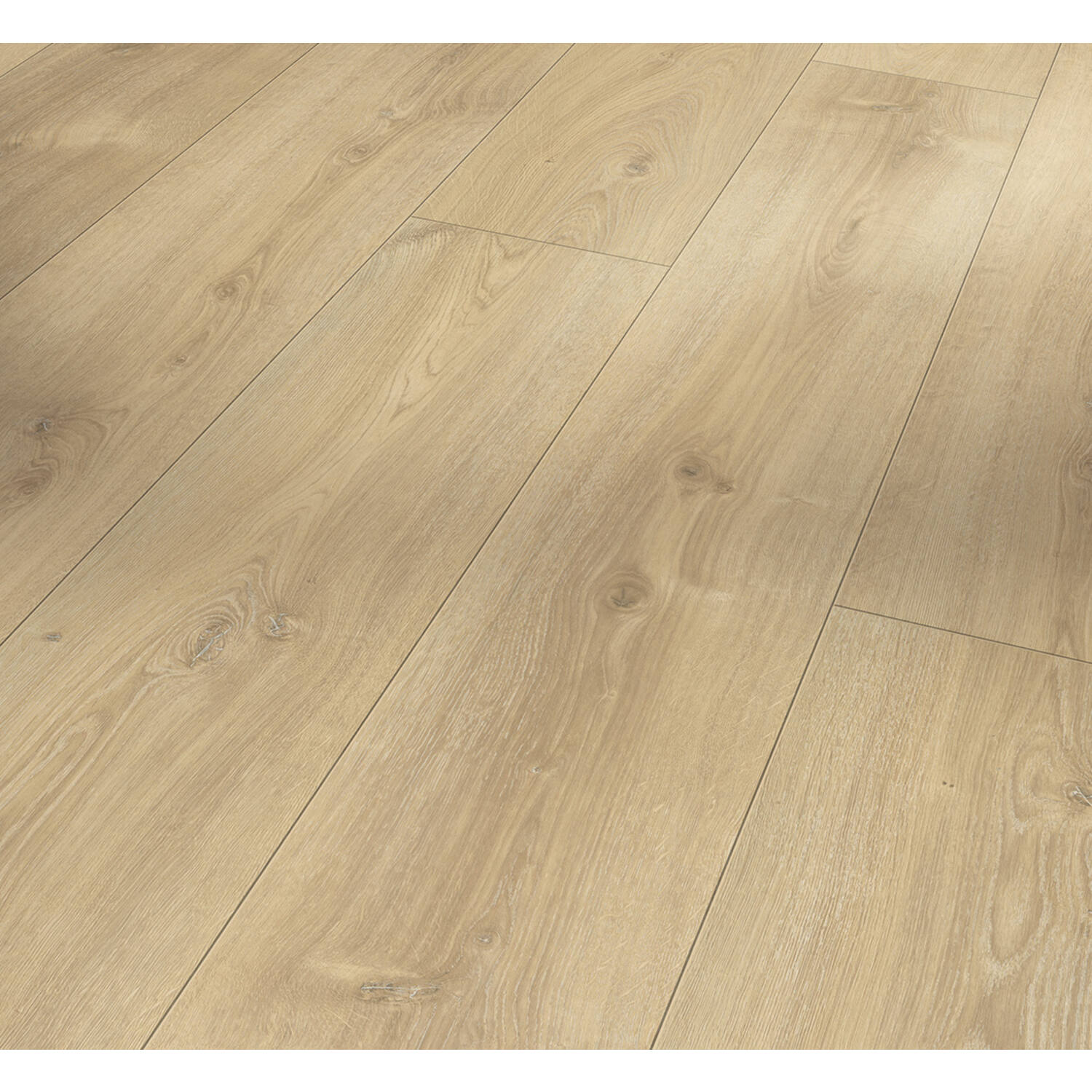 Parador Trendtime 6 119019 Eiken Nova Licht Gekalkt - Laminaat