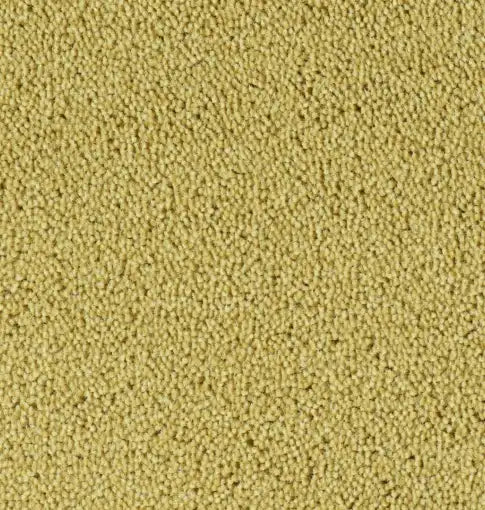 Parade Colour King 121 - Tapijt