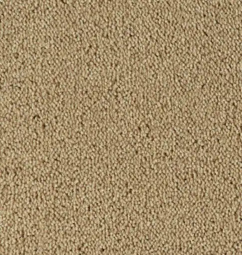 Parade Colour King 140 - Tapijt