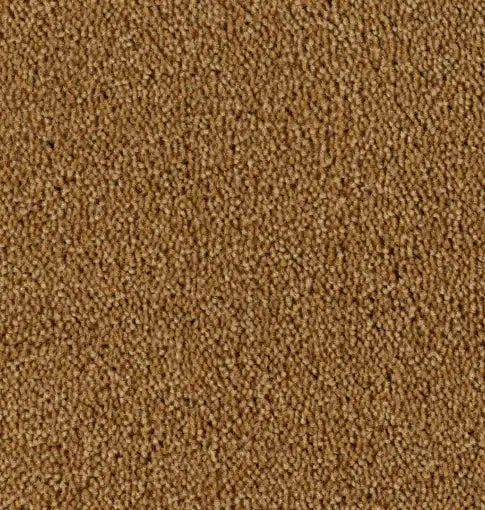 Parade Colour King 141 - Tapijt