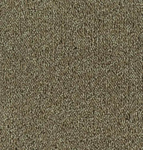 Parade Colour King 149 - Tapijt