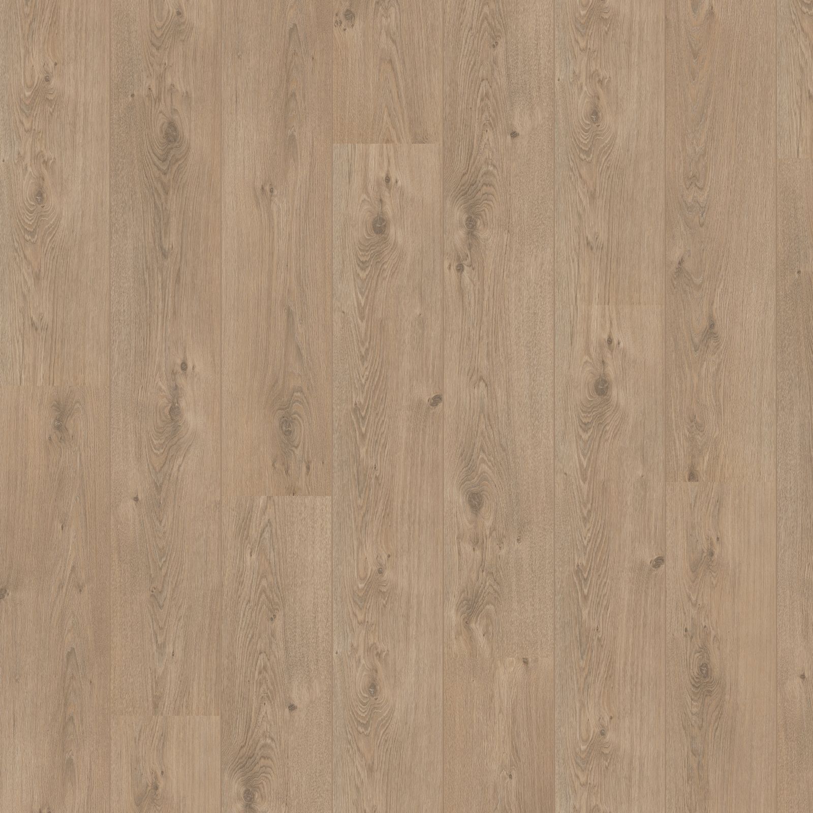 Hoomline Royal V2 Aqua Protect 583 Marche Laminaat - Laminaatvloer