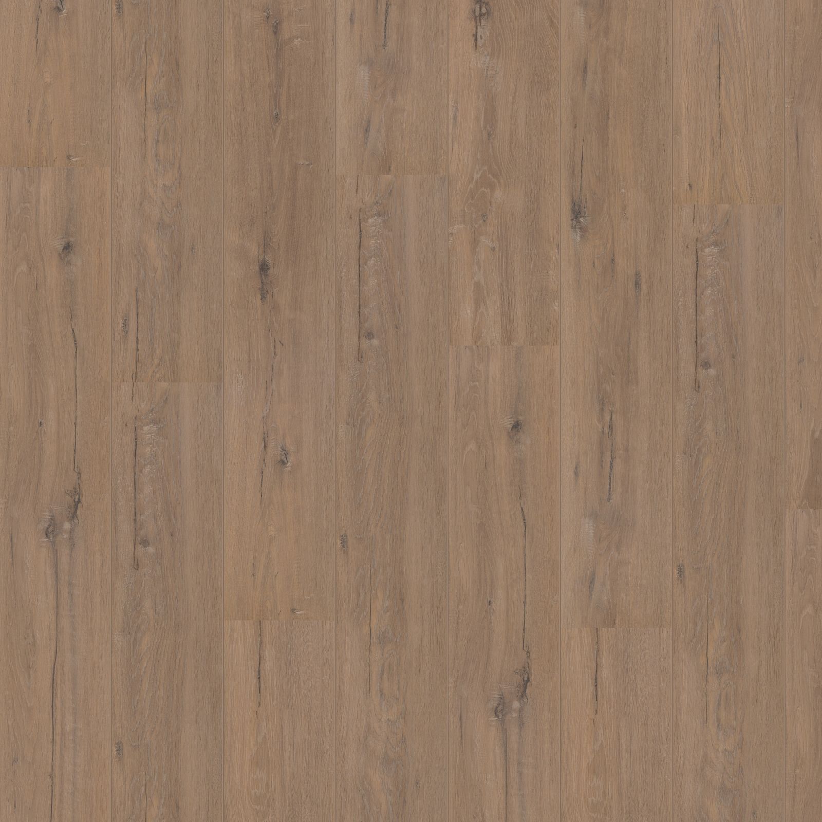 Hoomline Royal V2 902 Toscane Eik Laminaat - Laminaatvloer