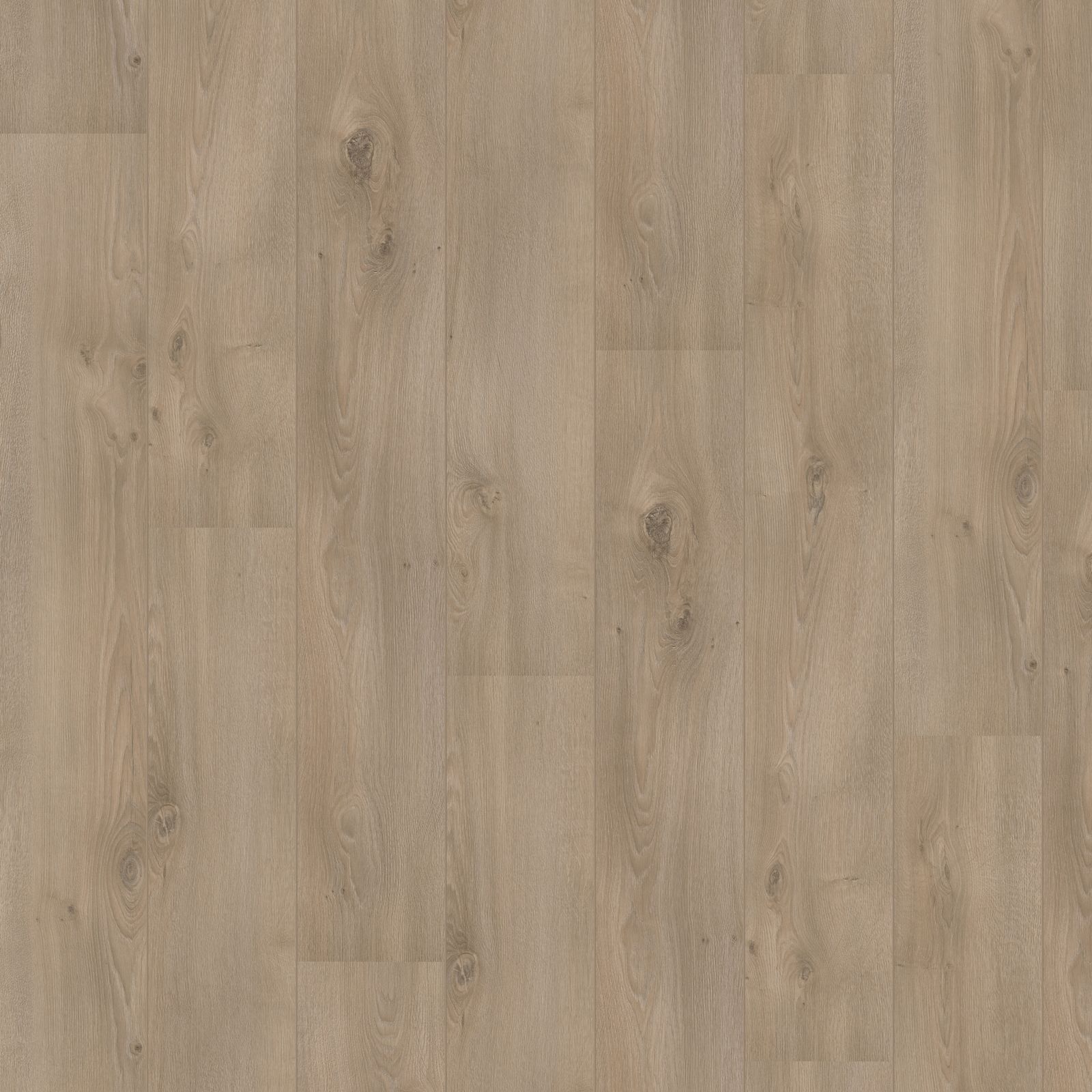 Hoomline Royal V2 106 Campania Eik Laminaat - Laminaatvloer