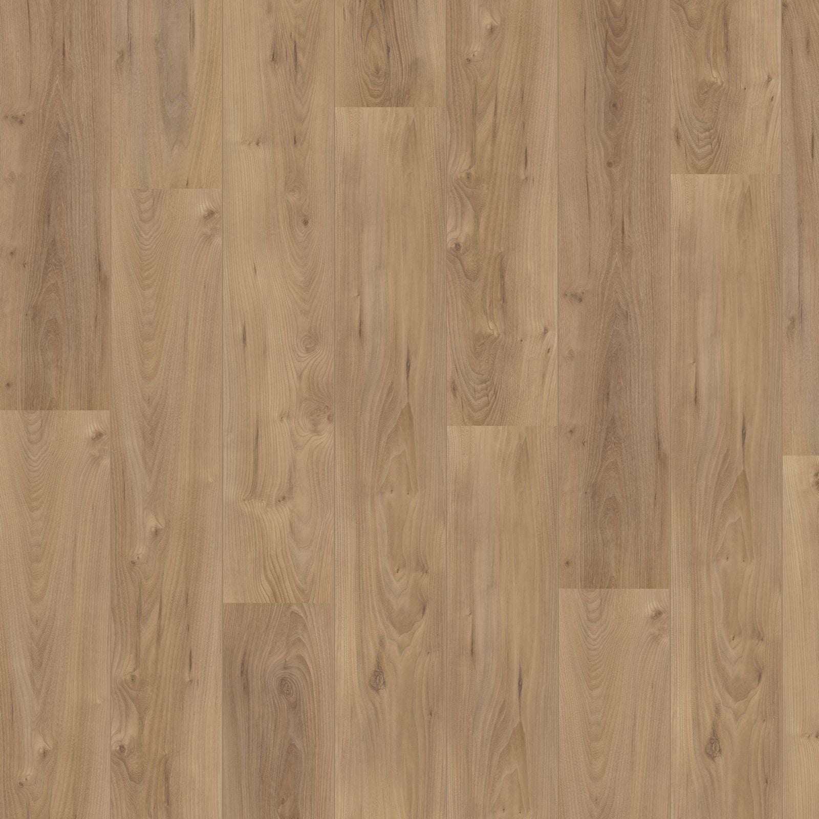 Hoomline Royal V2 755 Lazio Eik Laminaat - Laminaatvloer