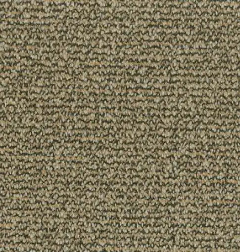 Parade Contour 170 - Tapijt