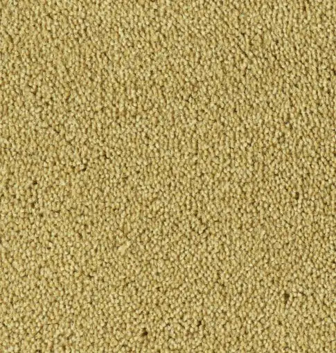 Parade Colour King 176 - Tapijt