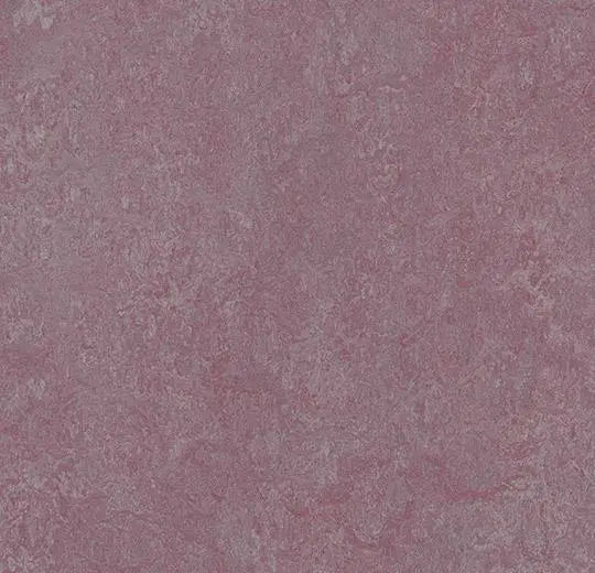 Marmoleum Real 3272 Plum - Linoleum - Harman Vloeren Amsterdam