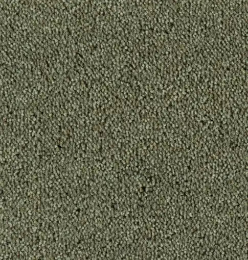 Parade Colour King 195 - Tapijt