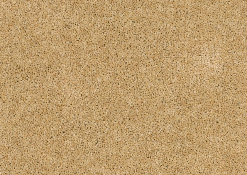 Parade Excellent 271 Kaneel - Zuiver Scheerwol - Tapijt - Vloerbedekking