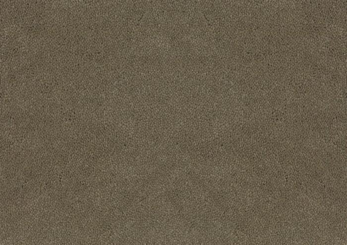 Desso Asteranne 50 2941 - Vloerbedekking - Tapijt - Harman Vloeren Amsterdam
