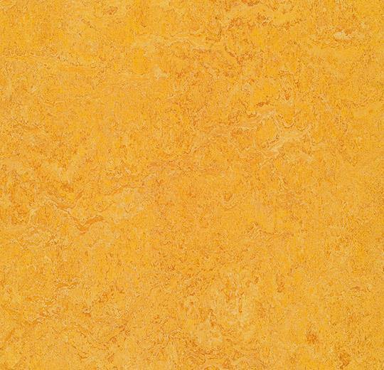 Marmoleum Decibel 322535 Dandelion - HarmanXL Vloerenoutlet Amsterdam