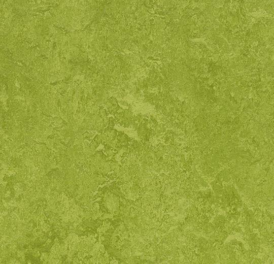 Marmoleum Fresco 3247 Green - HarmanXL Vloerenoutlet Amsterdam