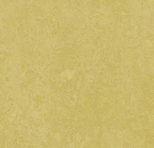 Marmoleum Fresco 3259 Mustard - HarmanXL Vloerenoutlet Amsterdam