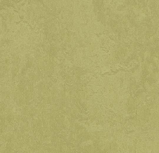 Marmoleum Fresco 3265 Avocado - HarmanXL Vloerenoutlet Amsterdam