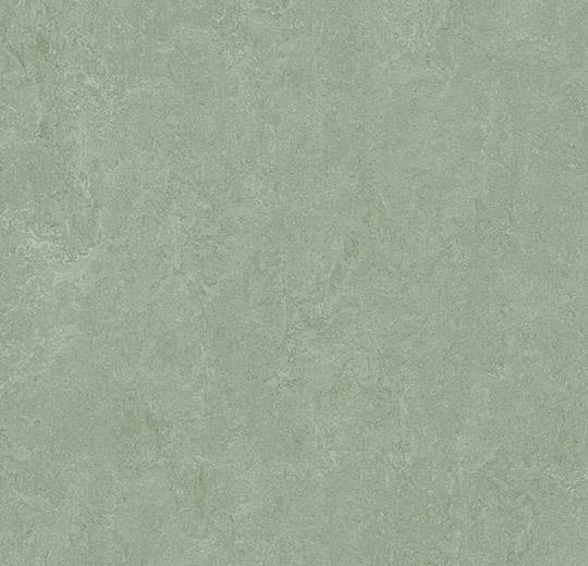 Marmoleum Fresco 3891 Sage - HarmanXL Vloerenoutlet Amsterdam