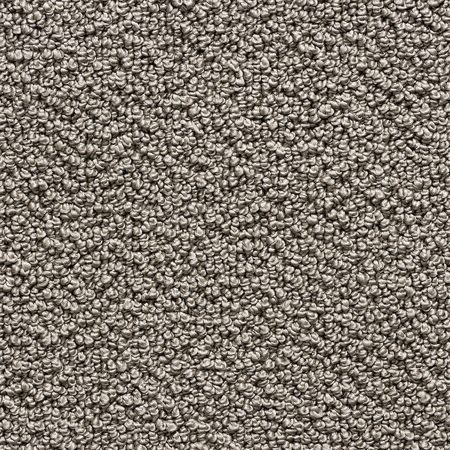 Interfloor Miracle SDY 547 - Tapijt - Vloerbedekking