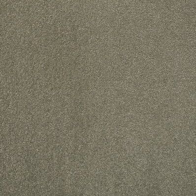 Gelasta Adventure 42 Beige Groen - Tapijt