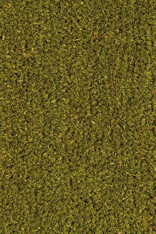 Beautifloor Kokosmat Groen - 100% Natuurlijke Kokosmatten - Harman Vloeren Amsterdam