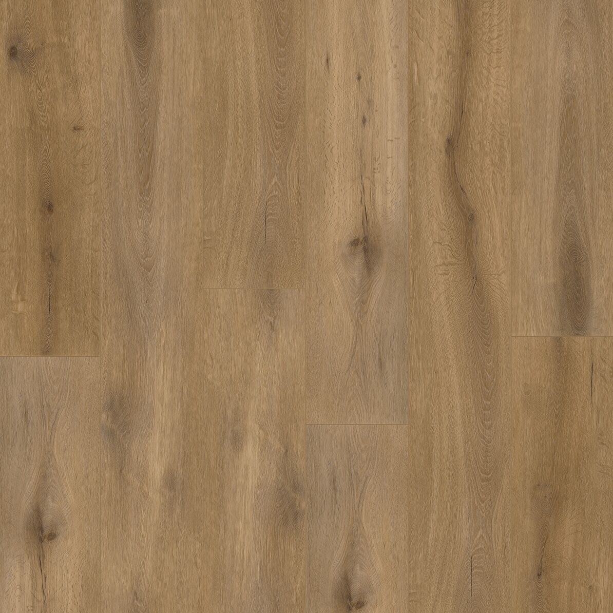 Gelasta Callisto 4102 Dryback Natural Oak