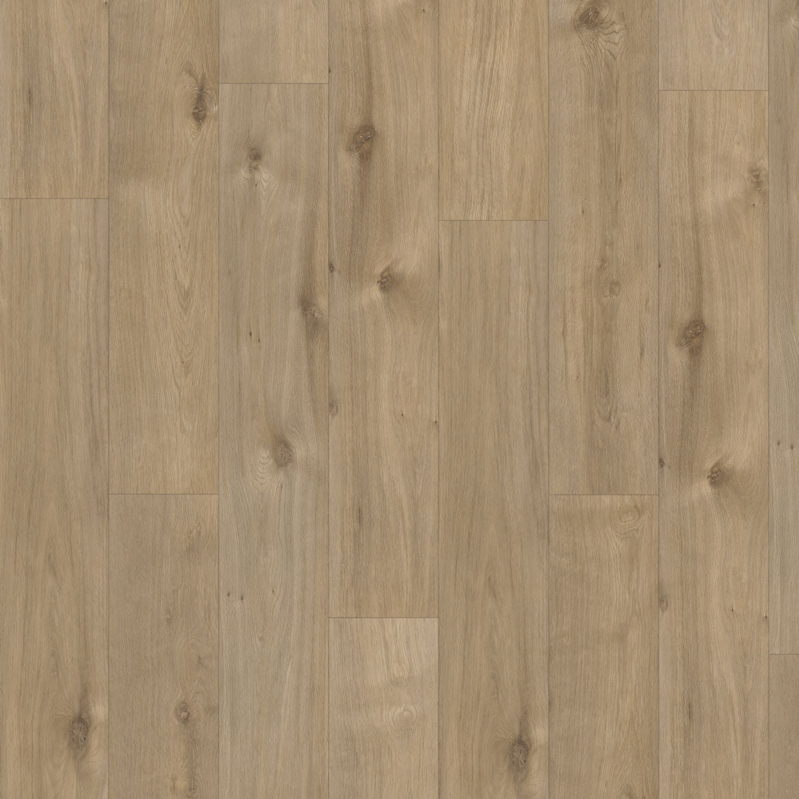 Hoomline Elite Classic Aquaprotect 60969 Valerie Laminaat - Laminaatvloer