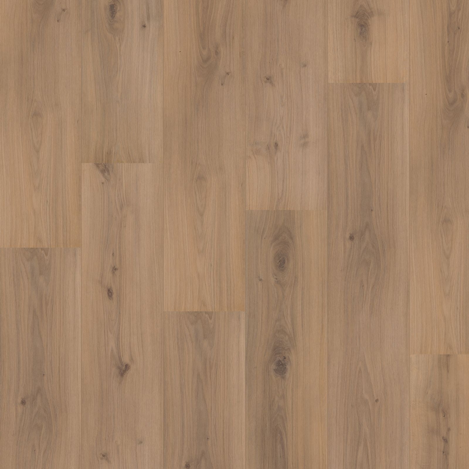 Hoomline Royal XL V2 4936 Jungfrau Laminaat - Aquaprotect