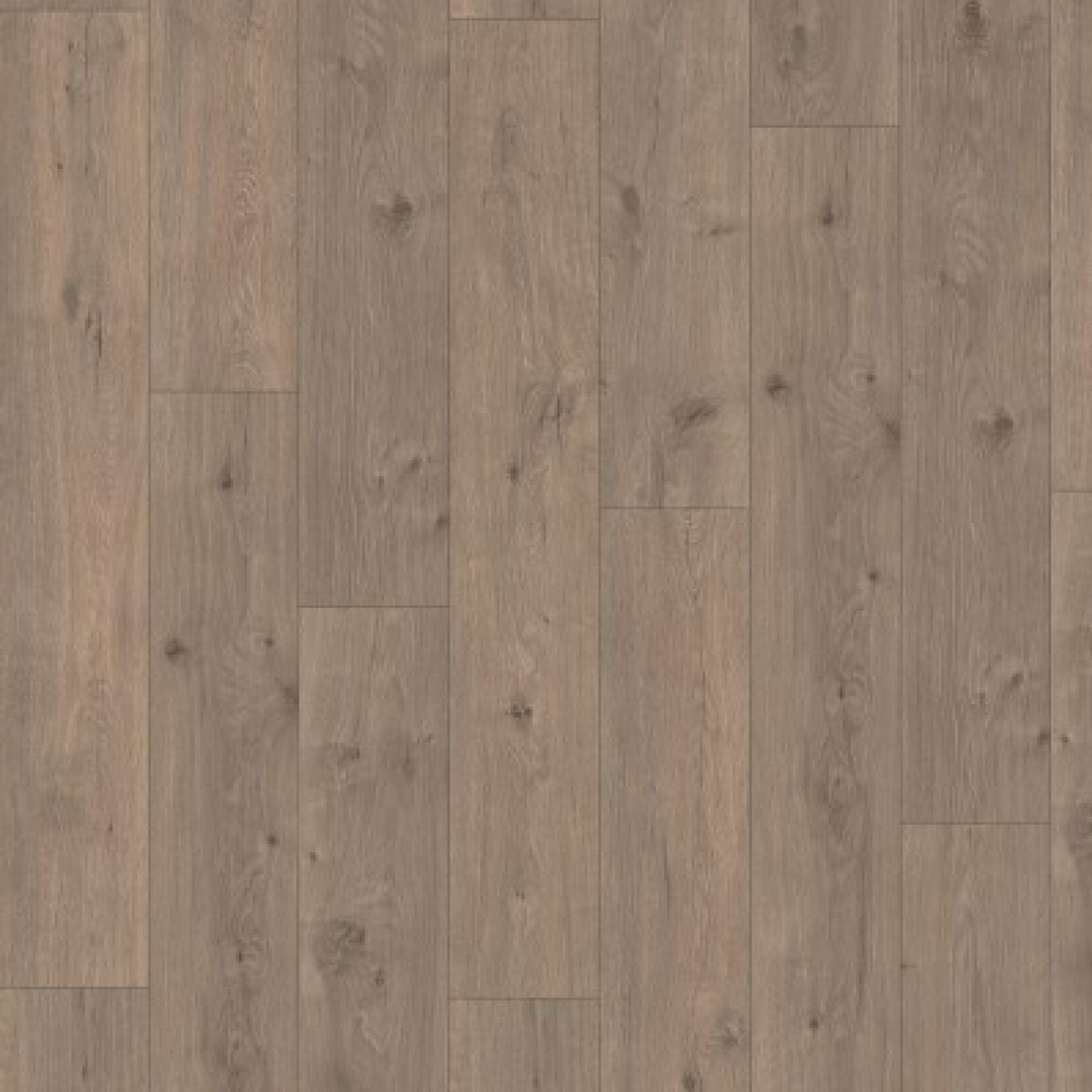 Egger Panthera 2833 Nairobi Oak Laminaat - Laminaatvloer