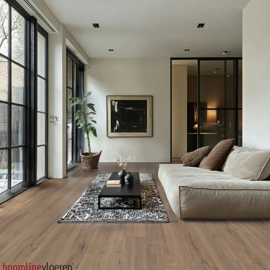 Hoomline Elite XL Aquaprotect V4 60902 Schelde Laminaat - Laminaatvloer