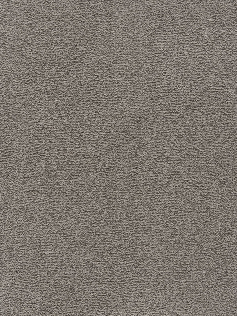 Smartstrand Angel 1811 - Tapijt