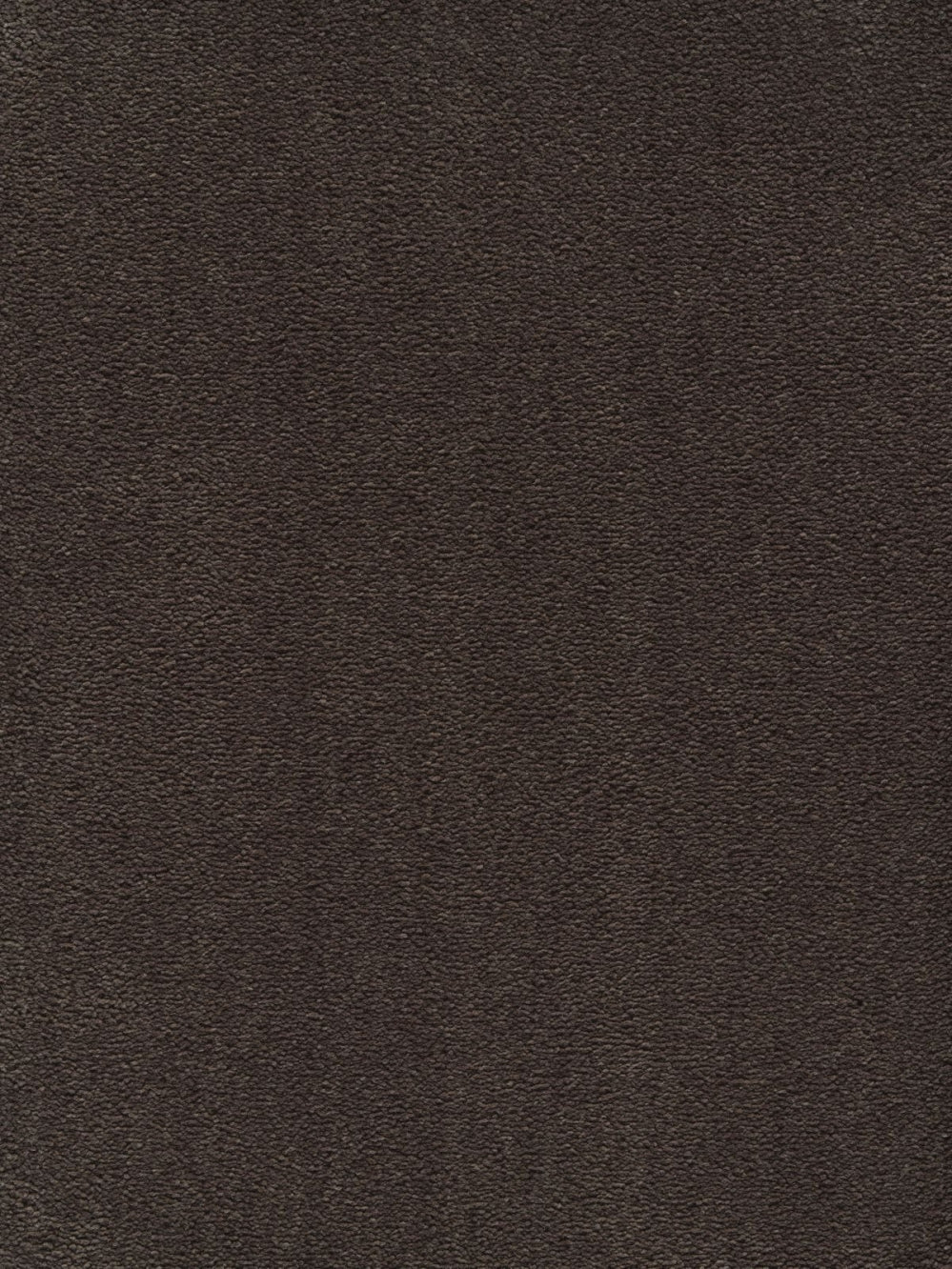 Smartstrand Angel 1813 - Tapijt