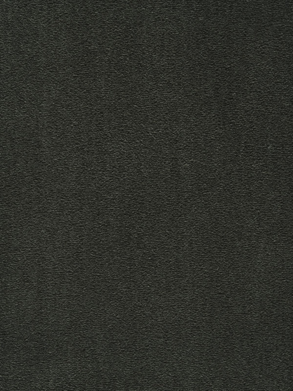 Smartstrand Angel 1816 - Tapijt