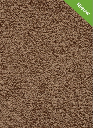 Gelasta Euphoria SDN 50 Terracotta - Vloerbedekking - Tapijt