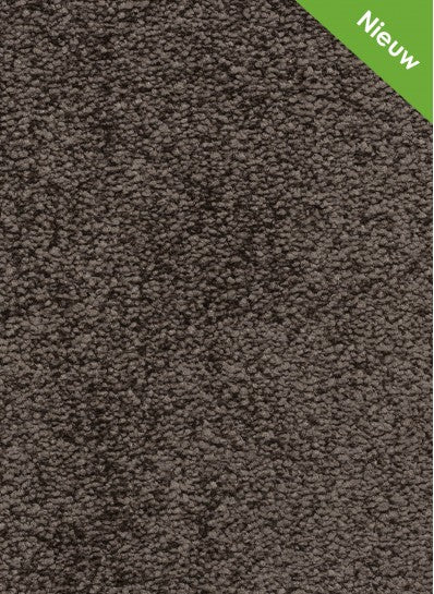 Gelasta Euphoria SDN 91 Koffie - Vloerbedekking - Tapijt