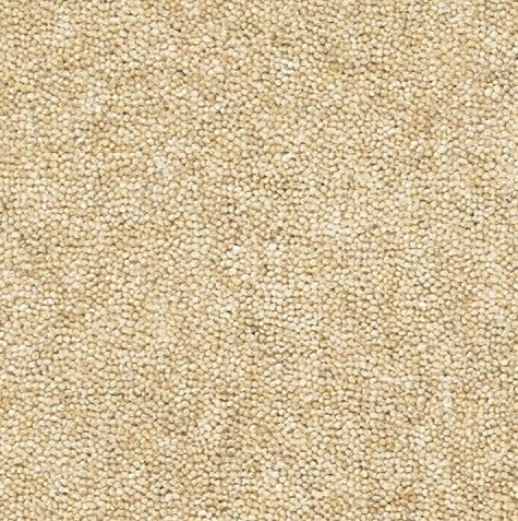 Nouwens Bogaers Wooltwist 2207 Sesam - Wollen Tapijt - Vloerbedekking