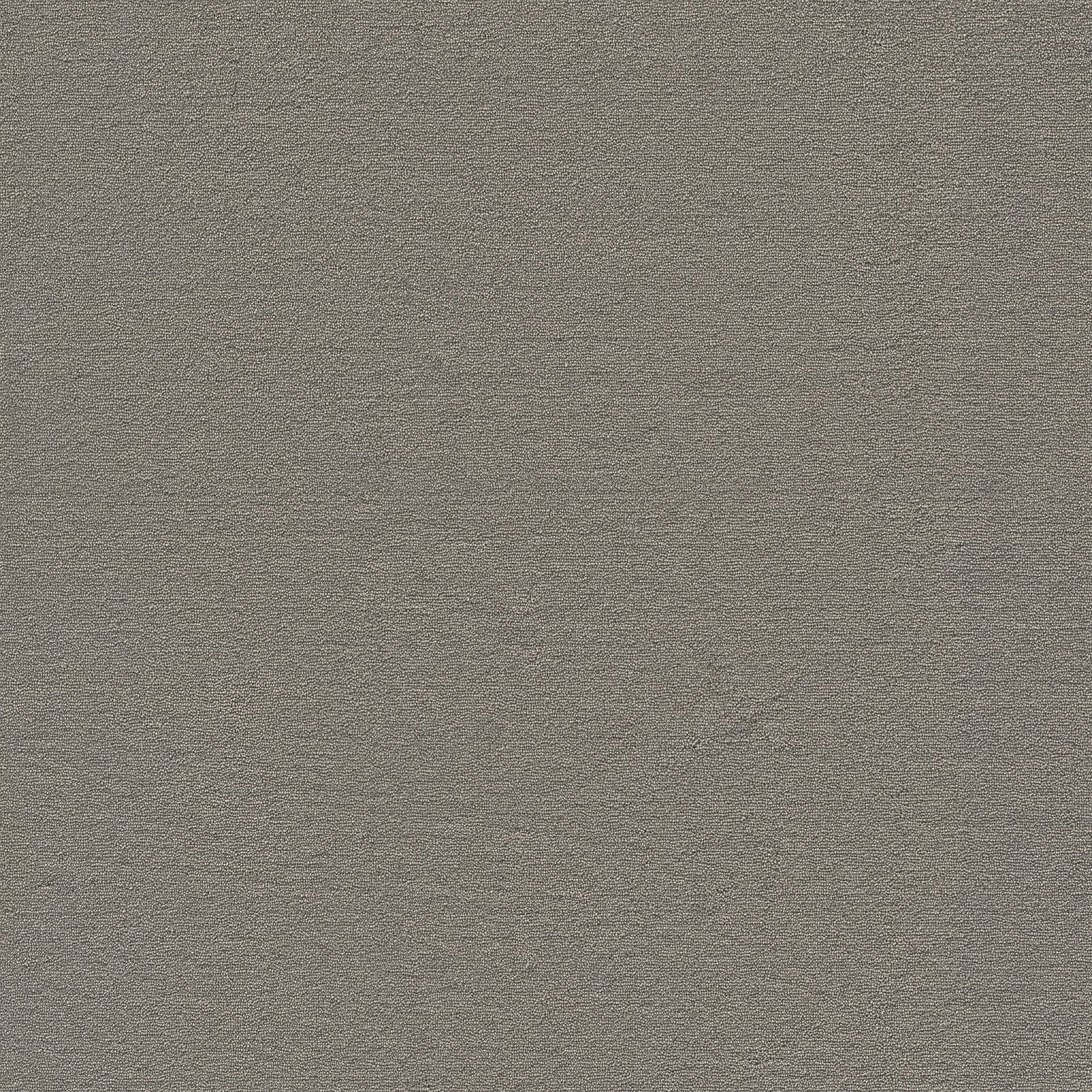 Ambiant Atlanta Lichtgrijs 0165 - Vloerbedekking - Tapijt