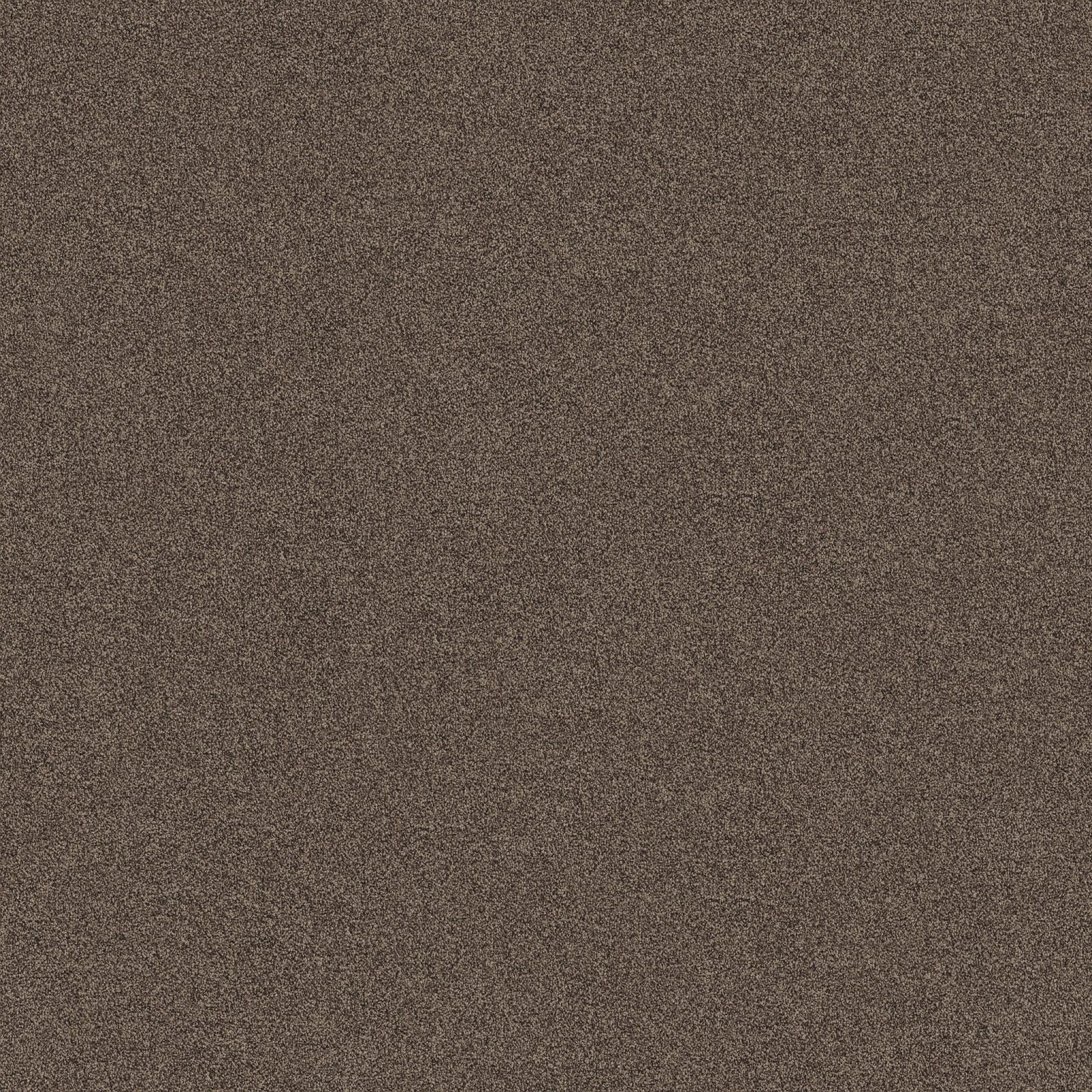 Ambiant Attraction Beigebruin 0485 - Vloerbedekking - Tapijt