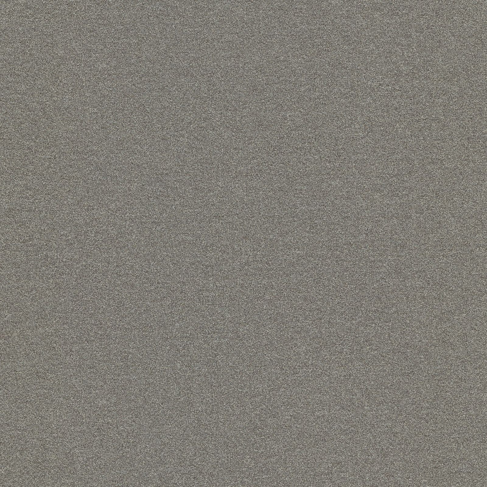 Ambiant Attraction Platina 0140 - Vloerbedekking - Tapijt