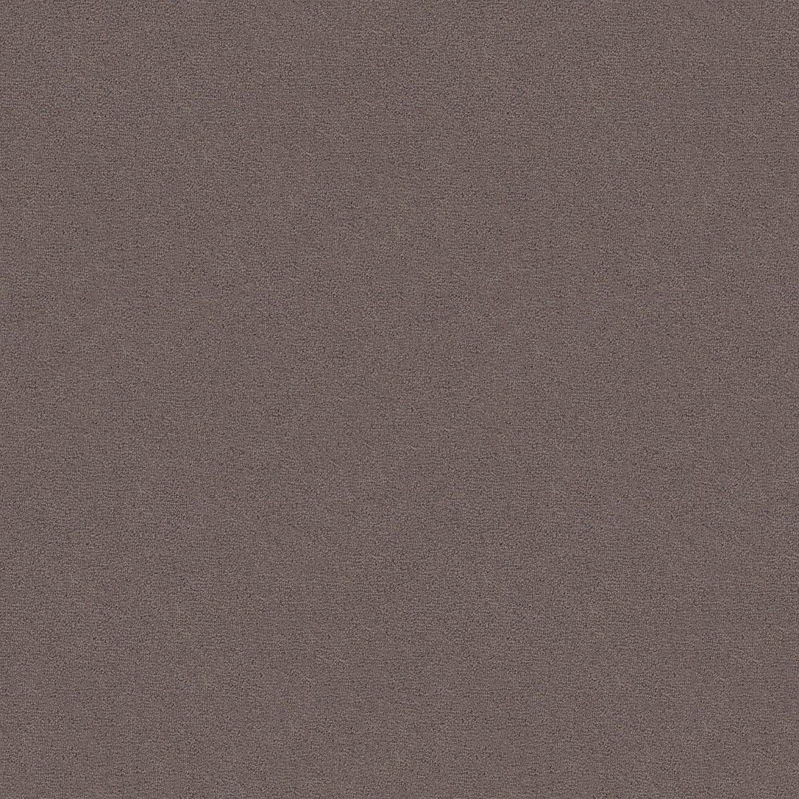 Ambiant Charmant Antraciet 0205 - Vloerbedekking - Tapijt