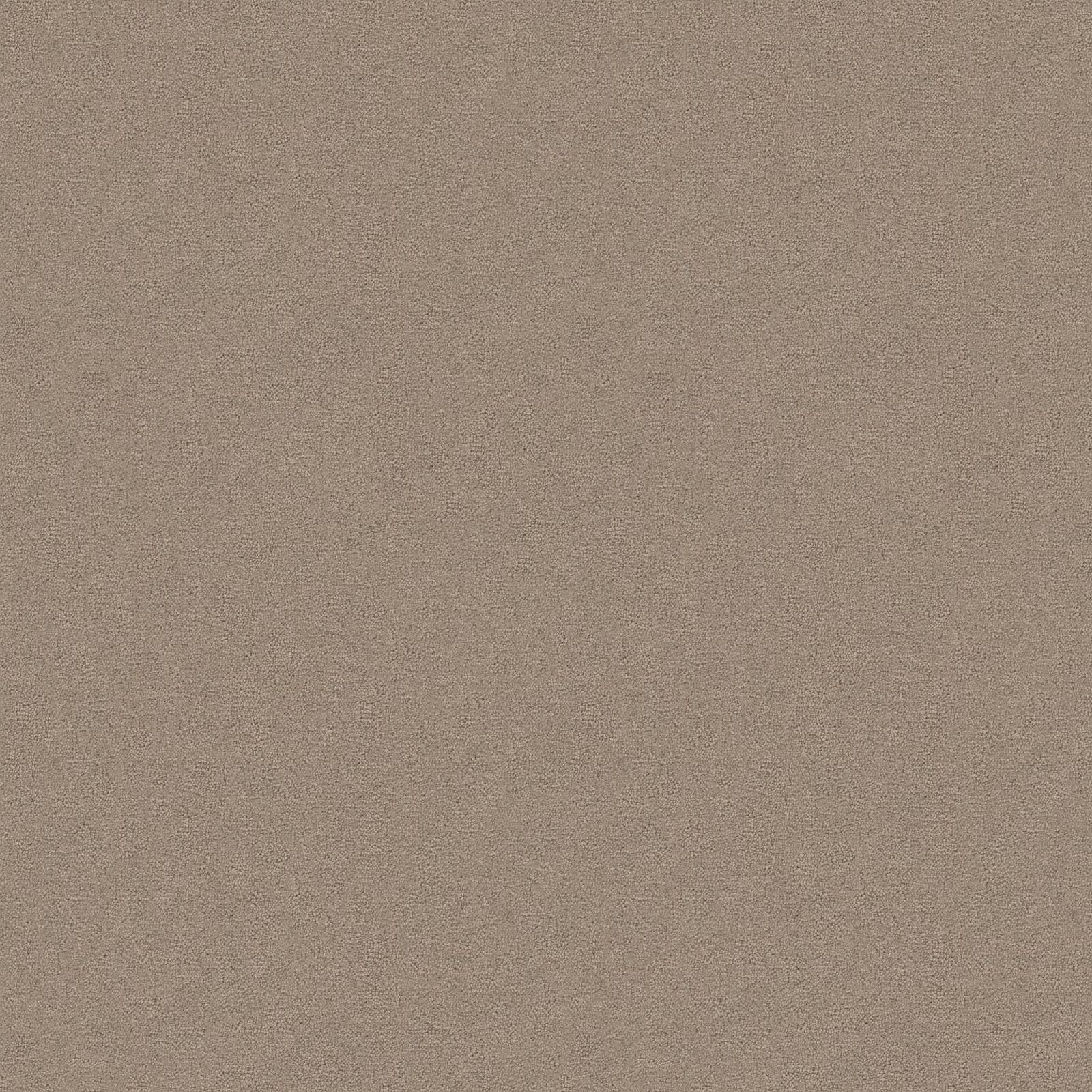 Ambiant Charmant Beigebruin 0485 - Vloerbedekking - Tapijt