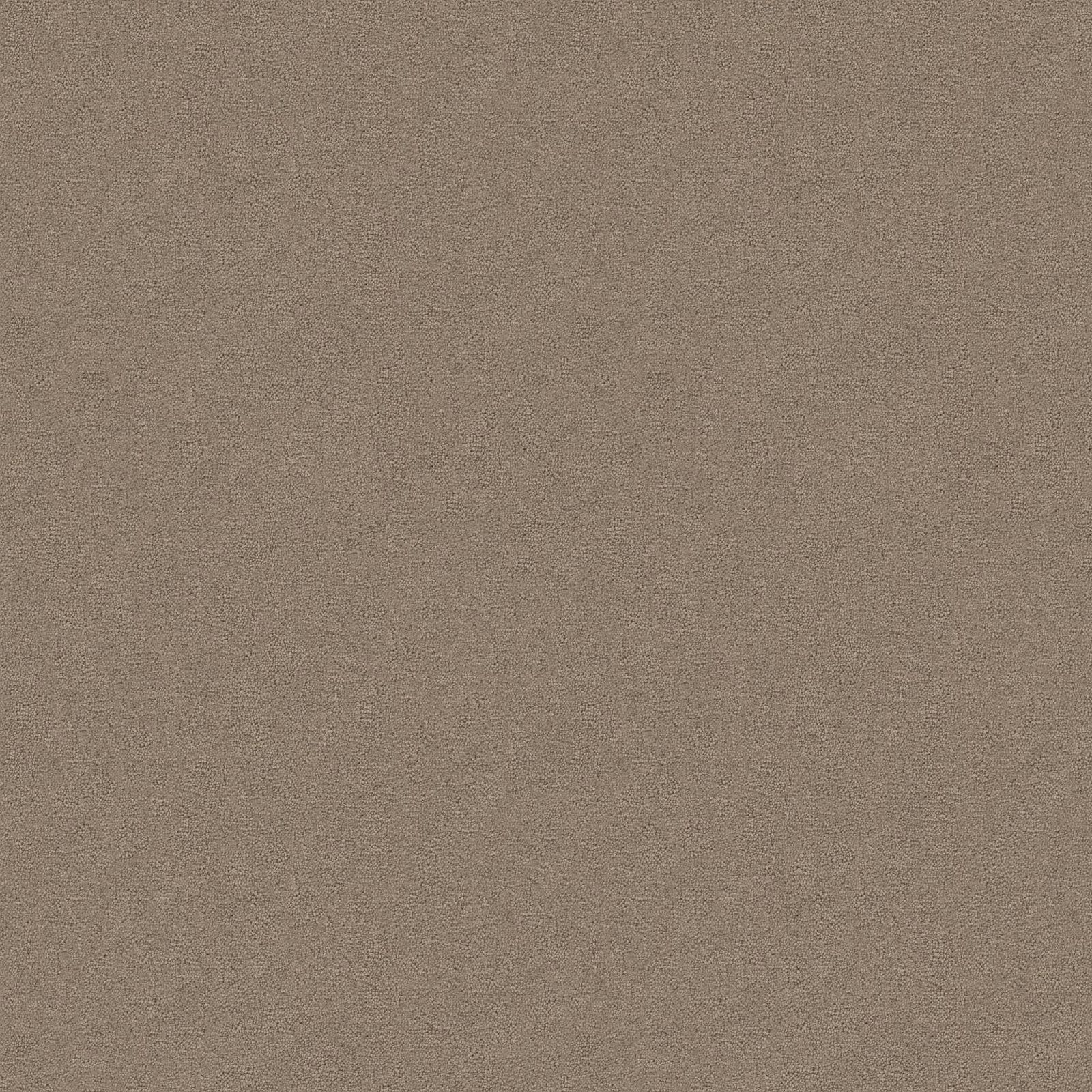 Ambiant Charmant Sepiabruin 0670 - Vloerbedekking - Tapijt