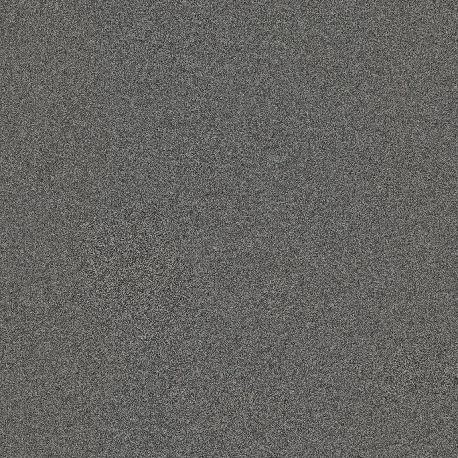 Ambiant Dallas Donkergrijs 0101 - Vloerbedekking - Tapijt