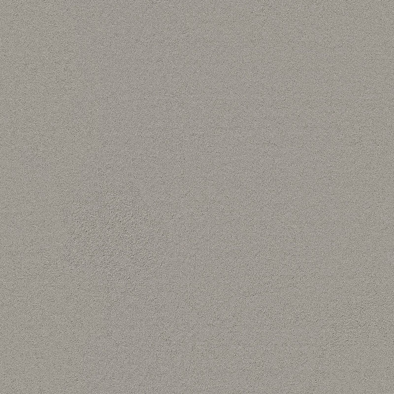 Ambiant Dallas Lichtgrijs 0165 - Vloerbedekking - Tapijt