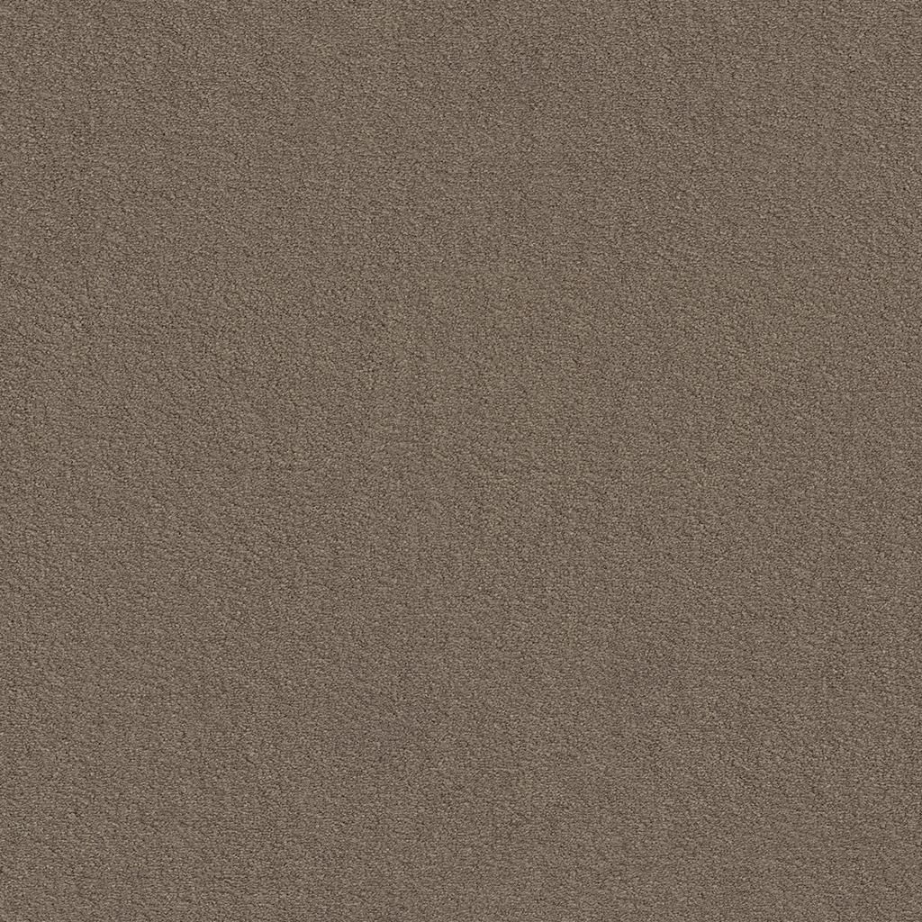 Ambiant Glendale Beigebruin 0485 - Vloerbedekking - Tapijt