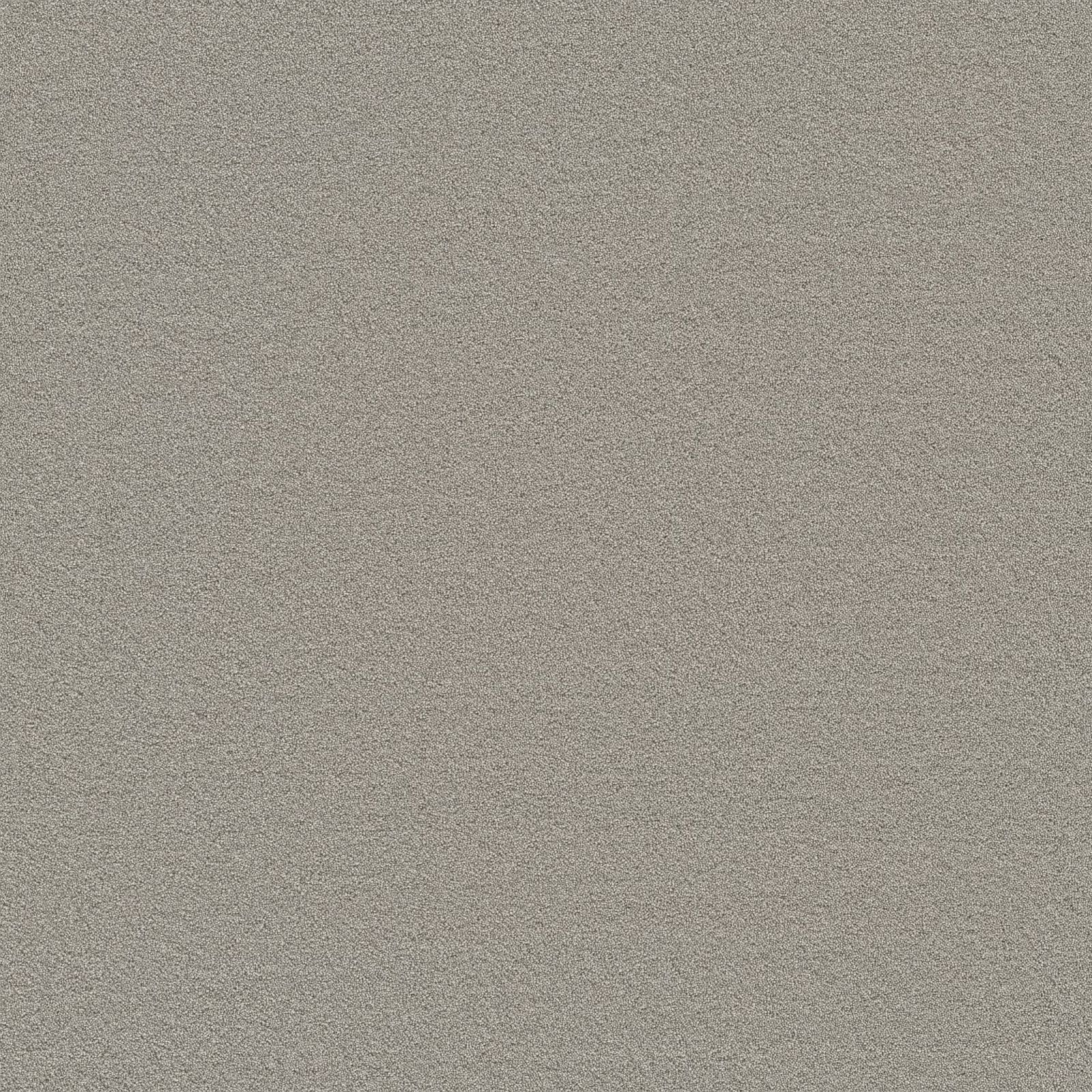 Ambiant Houston Grijsbeige 0496 - Vloerbedekking - Tapijt