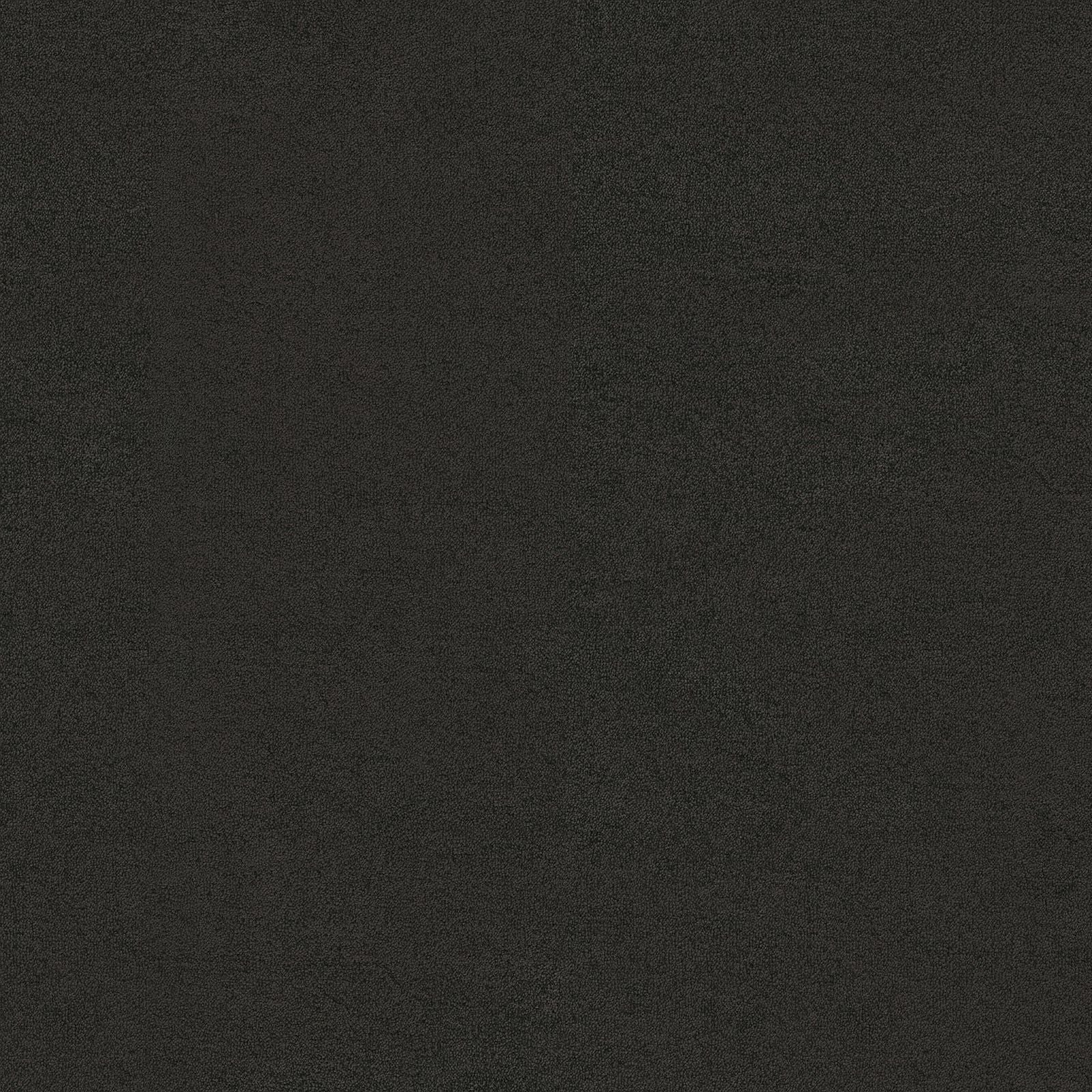 Ambiant Louisville Antraciet 0205 - Vloerbedekking - Tapijt