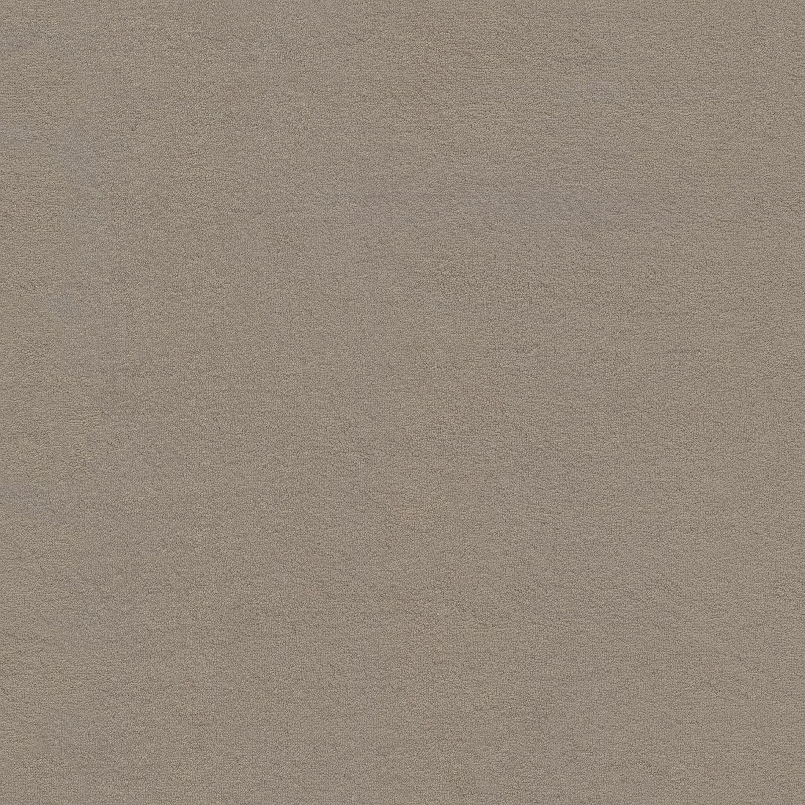 Ambiant Louisville Grijsbeige 0496 - Vloerbedekking - Tapijt