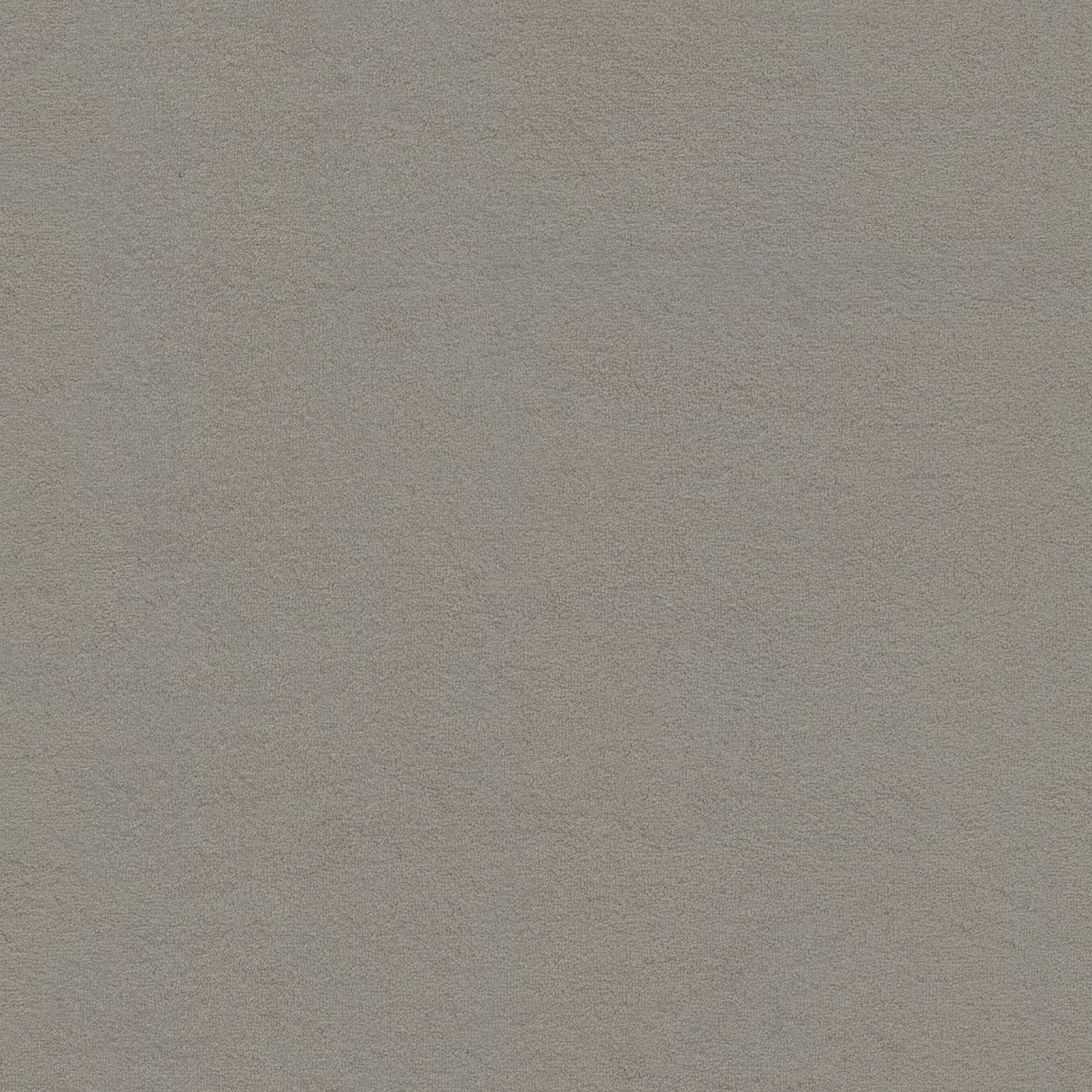 Ambiant Louisville Lichtgrijs 0165 - Vloerbedekking - Tapijt