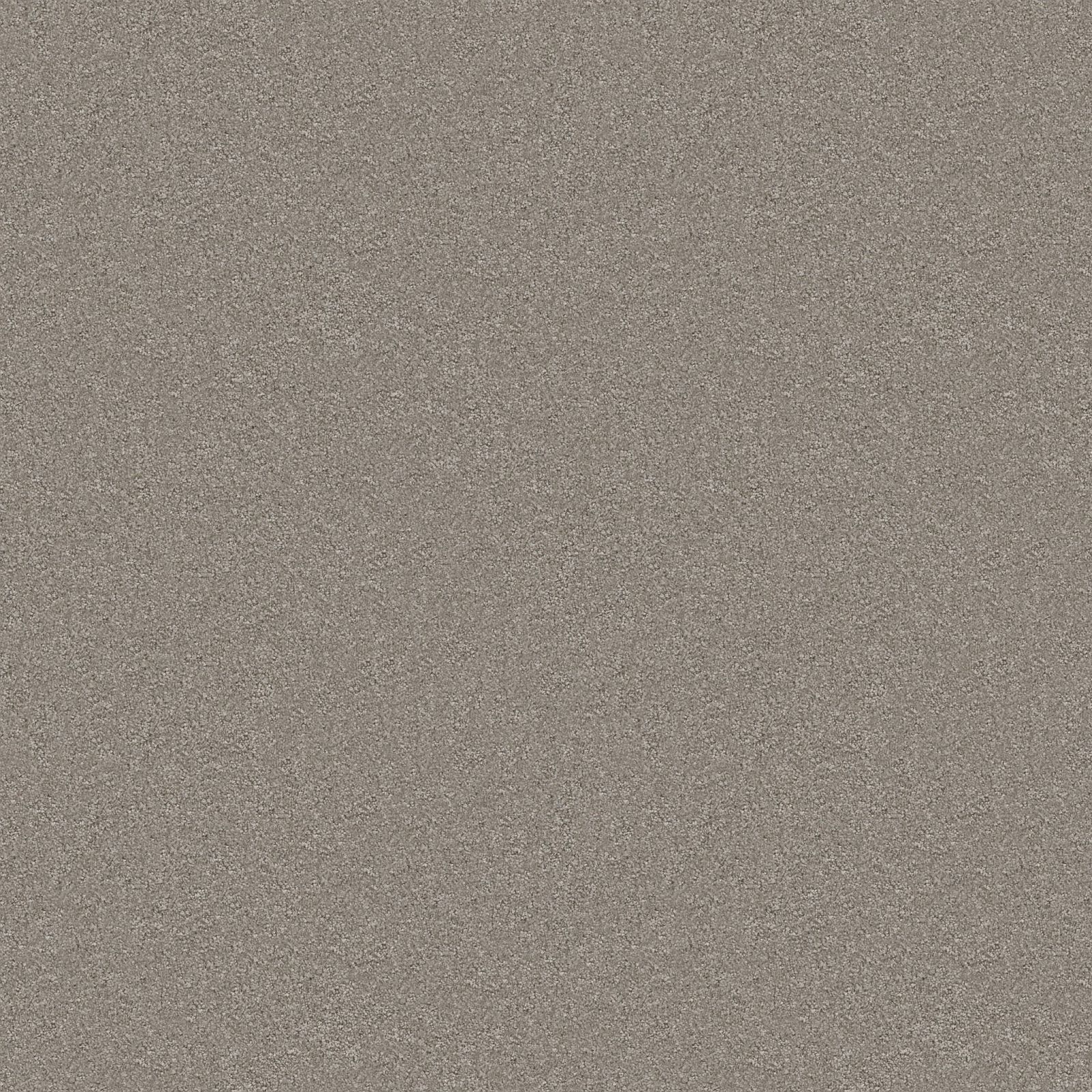 Ambiant Magnifico Grijsbruin 0119 - Vloerbedekking - Tapijt